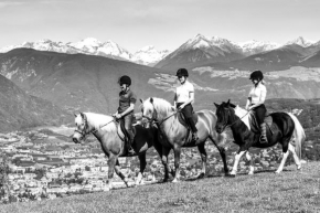 Widmannhof - Urlaub auf dem Biobauernhof Brixen
